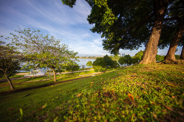 The English garden at Putrajaya, Malaysia, for sunrise. Golden grass around an old tree in the morning sun. The Putrajaya lake and the skyline of Putrajaya in the background. Truly Asia. 