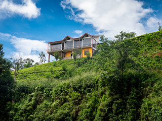 Fototapeta na wymiar Beautiful image of luxurious villa on the moutnain top at tea plantation