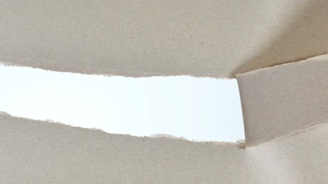 Hand tear brown paper and white background with space for text.