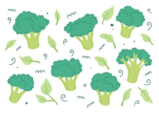 Broccoli vector illustration isolated set. Concept of healthy food, vegetable for background, icon design. Broccoli have abstract, cartoon, hand drawn style.