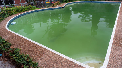 A pool turns green when there is algae in the water