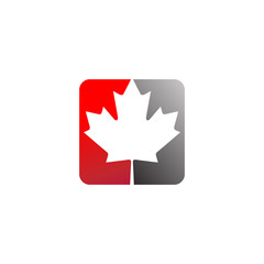 maple leaf colorful vector logo illustration © ari