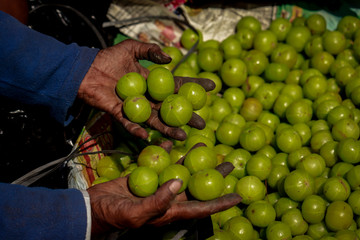 Man holding the gooseberry fruit on hand in street vegetable market, kolkata