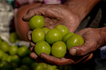 Man holding the gooseberry fruit on hand in street vegetable market, kolkata