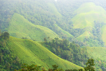 Nature concept background of green mountain in Thailand.