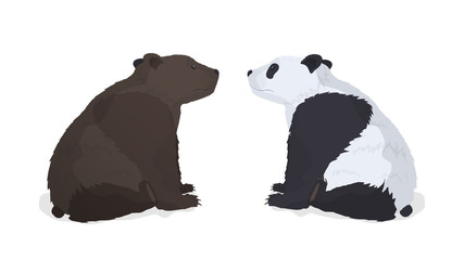 Brown bear and panda isolated on a white background. Vector illustration. © Javvani