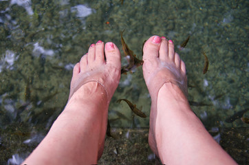 Doctor Fish at Old Enchanted Balete Tree in Siquijor