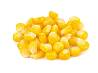corn on a white background