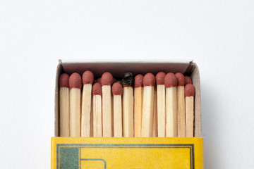 Stand from the crowd concept: a yellow matchbox, with only one match burned. White background.