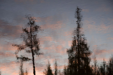 Fototapeta na wymiar River running across the forest with reflections in the water. Evening sunset with pink and violets colors in the sky. Silhouettes