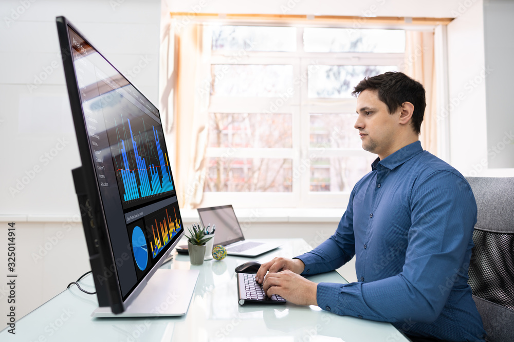 Poster Businessman Analyzing Graphs On Computer