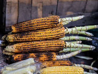 roasted corn for sale