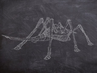 Chalk fantasy creature illustration
