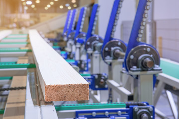The board lies on the conveyor line. Woodworking industry. Automated woodworking line.