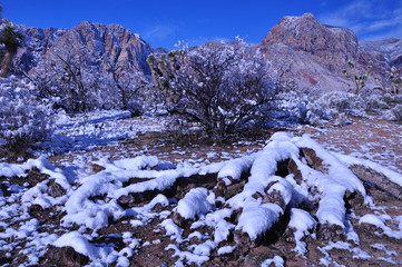 Thawing Desert