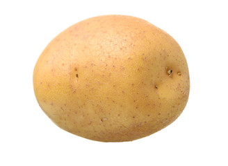 New potato isolated on white background 
