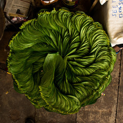 Betel Leaves Basket