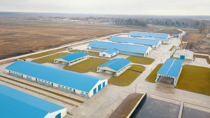 Fototapeta premium New milk farm in a rural village. Russia