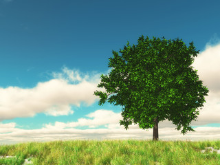 3D countryside landscape with tree against blue sky