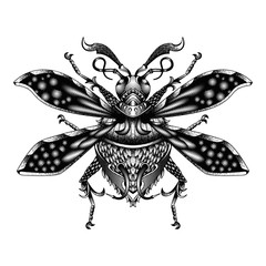 BLACK AND WHITE ABSTRACT INSECT IN VINTAGE STYLE