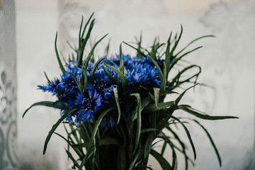 Bouquet of blue cornflowers. Light soft background. Photo in the style of the film.