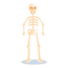 Cute halloween skeleton icon. Cartoon of cute halloween skeleton vector icon for web design isolated on white background