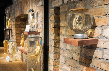 Ginseng root in a glass jar. Medicinal tincture of ginseng root.