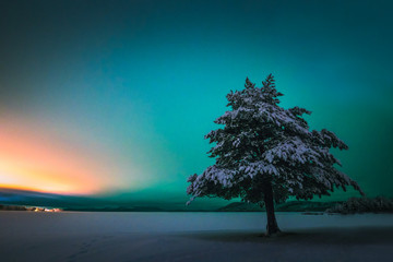 Polar night in Swedish Lapland