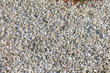 white pebbles on the entire frame as a background