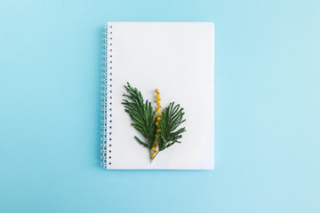 Notepad and mimosa flower on a blue background shot from above. Place for text
