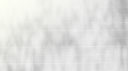 Abstract Shadows, blurred background of gray leaves and natural trees that reflect concrete walls, fallen branches on white wall surfaces for blurred backgrounds and black and white wallpapers.