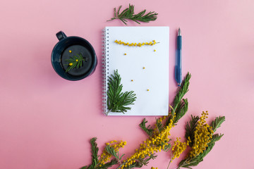 Notebook and mimosa flower on a pink background shot from above. Place for text
