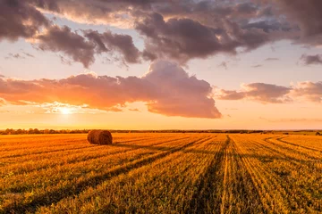 Foto op Canvas Scene of sunset on the field with haystacks in Autumn season. Rural landscape with cloudy sky background. Golden harvest of wheat. © Eugene_Photo