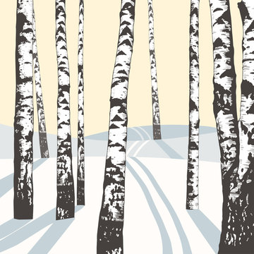 .Winter landscape with birches and ski track. Hand-drawn vector background. Illustration of nature.