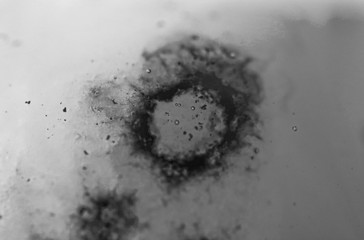 ウイルスのイメージ