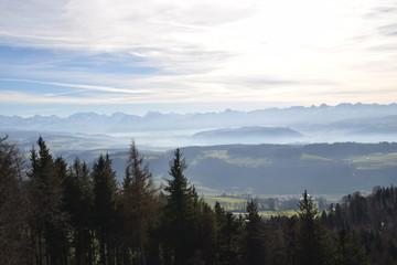 Fototapeta na wymiar Berner Alpen