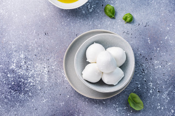 Italian cheese mozzarella