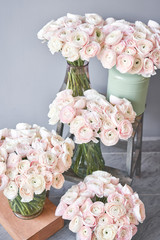 Lot of flowers Persian buttercup. Bunch pale pink ranunculus flowers on light gray background. Glass vase on vintage wooden table. Wallpaper