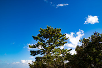 爪木崎の公園歩道