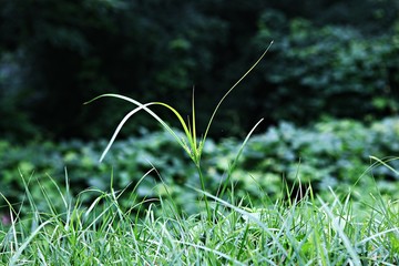 공주산성입니다