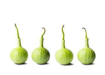 Calabash fruits , bottle gourd, or white-flowered gourd, on white background