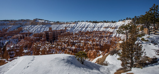 Paysage dans le parc national de Bryce Canyon, aux Etats-Unis