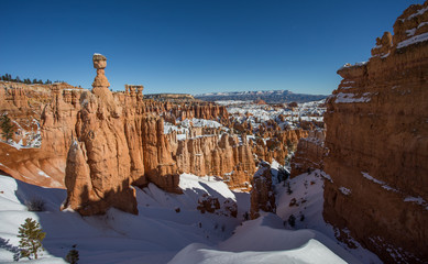 Paysage dans le parc national de Bryce Canyon, aux Etats-Unis