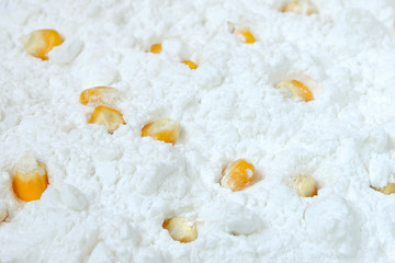 Closeup of tapioca starch or powder flour with corn grains on a white background. Texture of corn starch with grains. Pile of potato starch isolated on a white background. Powder starch powder texture