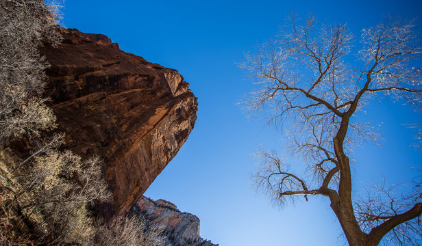 Paysage dans le parc national Zion, aux Etats-Unis