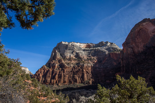 Paysage dans le parc national Zion, aux Etats-Unis