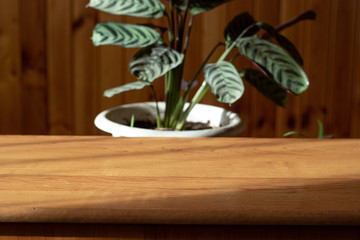 image of a wooden table in the background a green flower