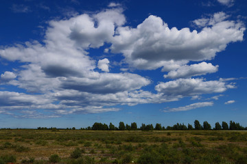 Fototapeta premium landscape with sky