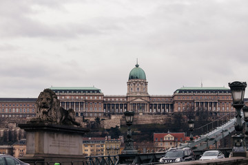 Fototapeta na wymiar Royal castle in Budapest with stone lion.
