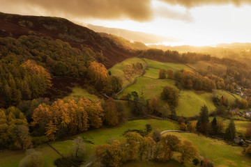 Student Blog: Rolling With The Roller Coaster - Storybook Edition  Image